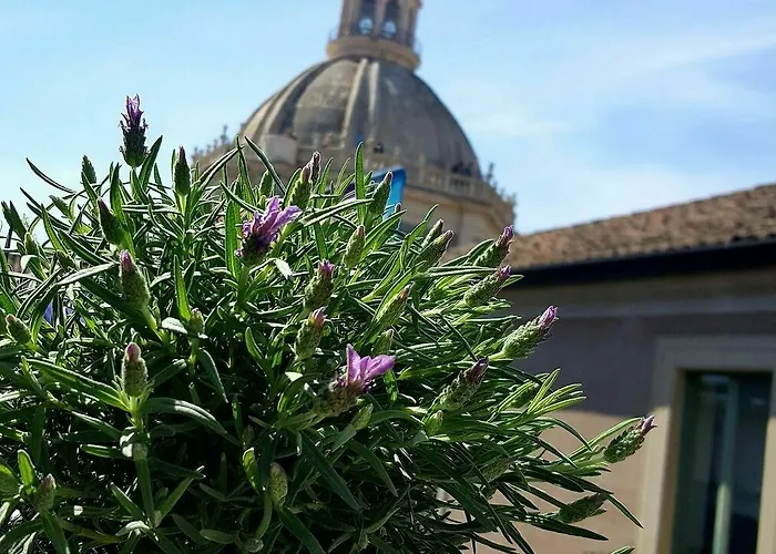 招待所 Casa Provenza 4*